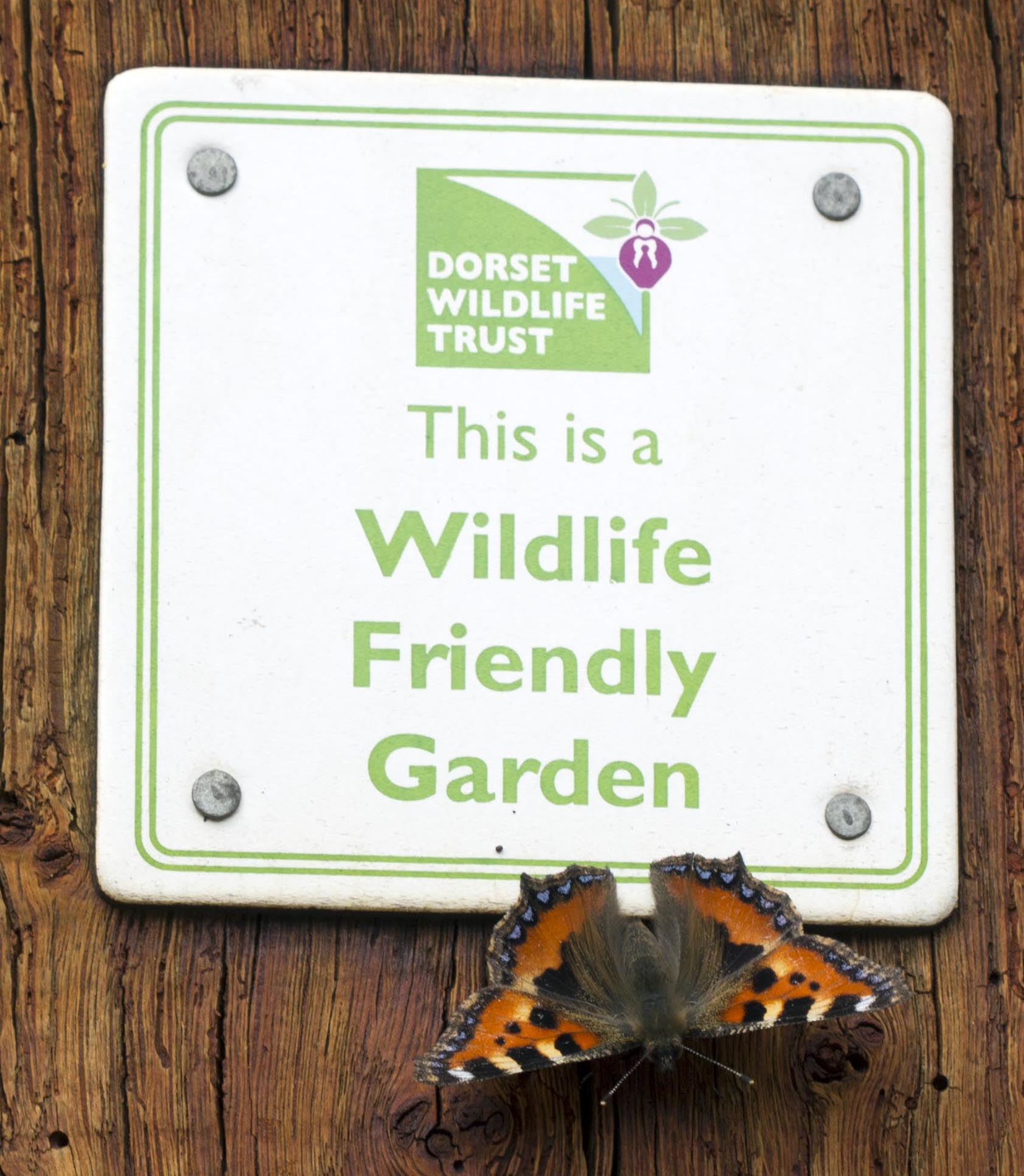 DWT garden plaque with butterfly